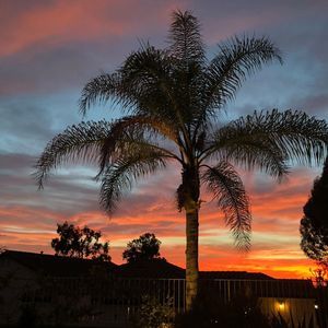 Meet your Posher, Elaine